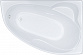 Акриловая ванна Triton Изабель Щ0000044607 170x100 L с каркасом
